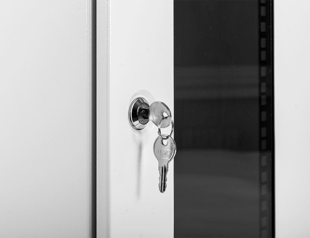 ЦМО ШРН-12.255-10 Шкаф телекоммуникационный настенный 10" 12U, (350х255), ШРН-12.255-10