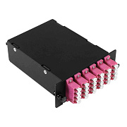 Cabeus FO-4K-6QLC/U-2MPO/U(m)-MM504-BK-T Оптическая кассета в сборе, розетки LC/MM-quad - 6шт. - MPO/UPC - 2шт., гидра MPO/UPC male - 12LC/UPC - 2шт., MM50(ОМ4), черная